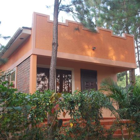 Saltek Forest Cottages Masindi المظهر الخارجي الصورة