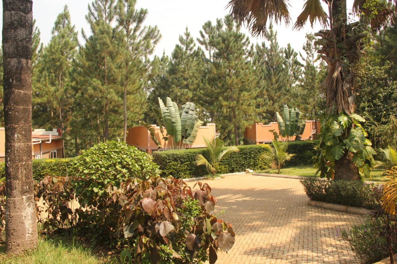 Saltek Forest Cottages Masindi المظهر الخارجي الصورة