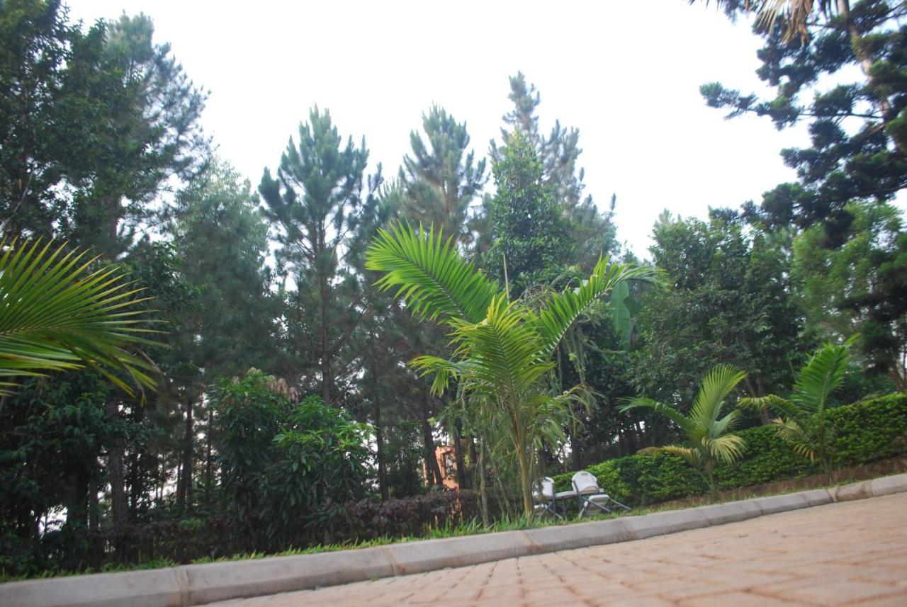 Saltek Forest Cottages Masindi المظهر الخارجي الصورة