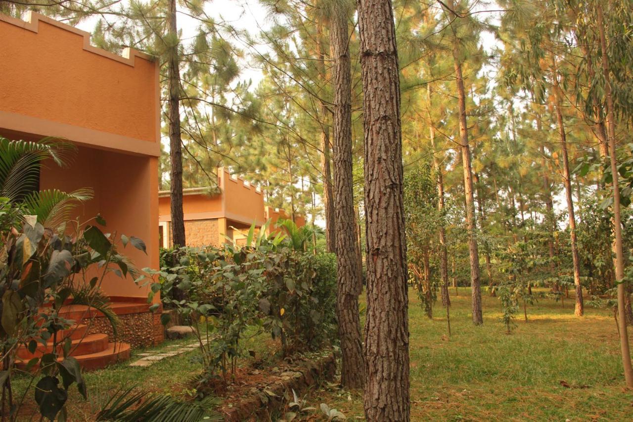 Saltek Forest Cottages Masindi المظهر الخارجي الصورة
