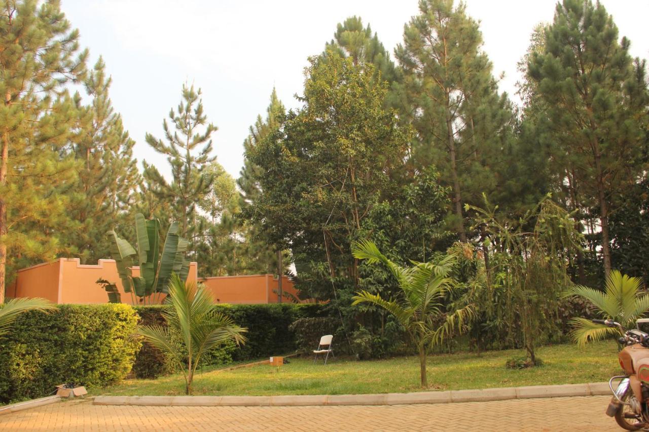 Saltek Forest Cottages Masindi المظهر الخارجي الصورة