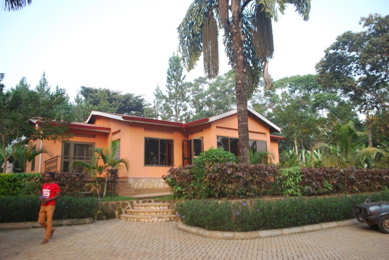 Saltek Forest Cottages Masindi المظهر الخارجي الصورة