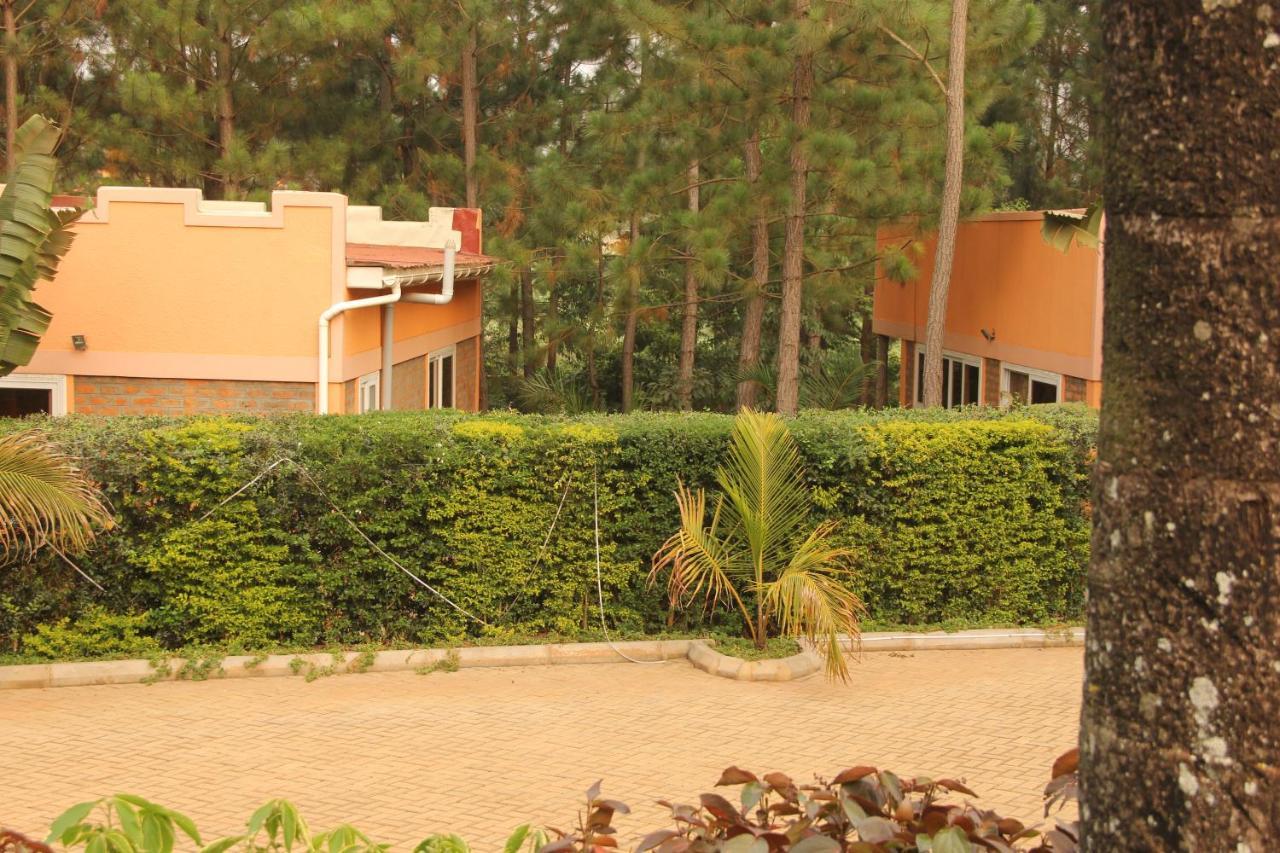 Saltek Forest Cottages Masindi المظهر الخارجي الصورة