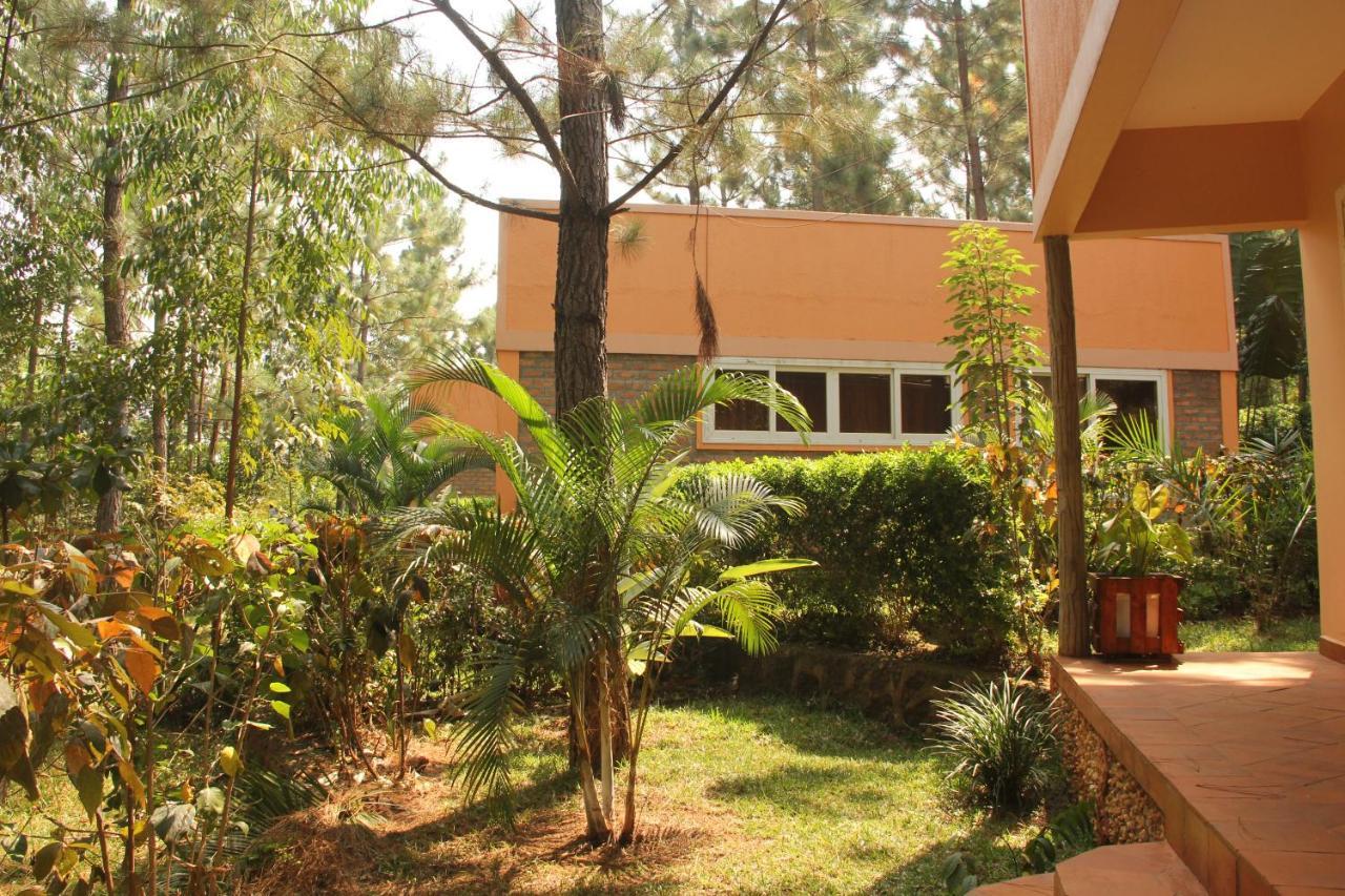 Saltek Forest Cottages Masindi المظهر الخارجي الصورة