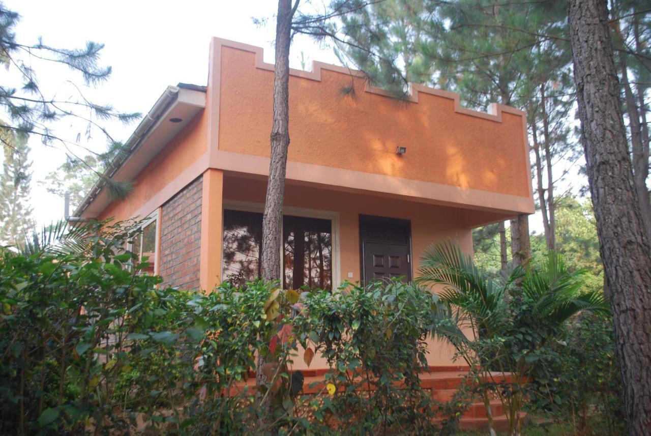 Saltek Forest Cottages Masindi المظهر الخارجي الصورة